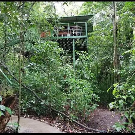 Jungle Living Tree Houses Monteverde Екстер'єр фото