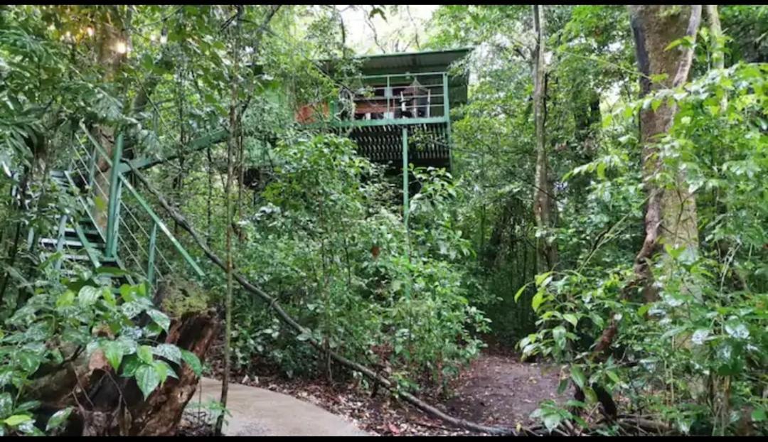 Jungle Living Tree Houses Monteverde Екстер'єр фото
