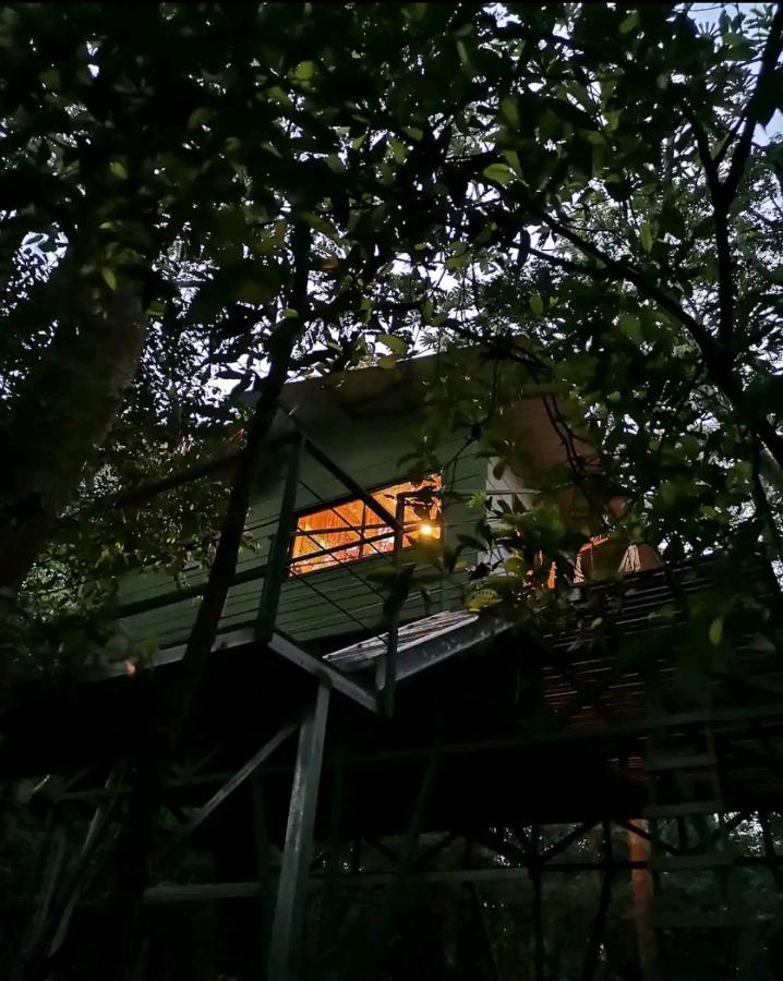 Jungle Living Tree Houses Monteverde Екстер'єр фото