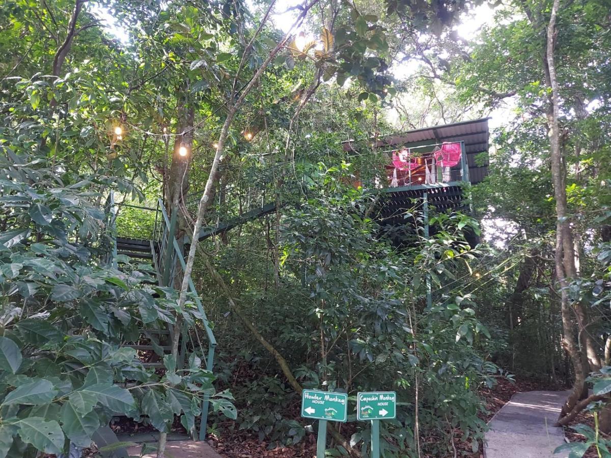 Jungle Living Tree Houses Monteverde Екстер'єр фото