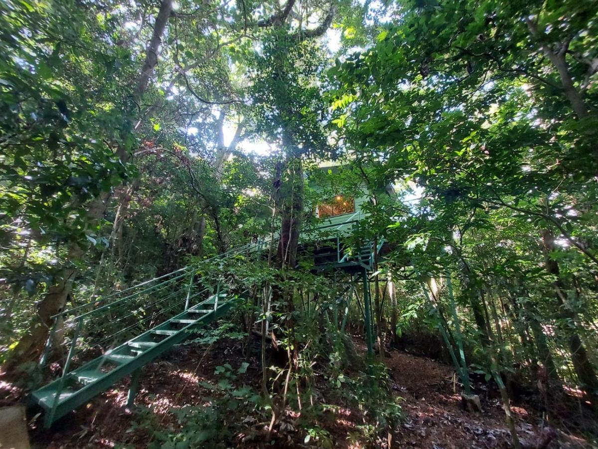 Jungle Living Tree Houses Monteverde Екстер'єр фото
