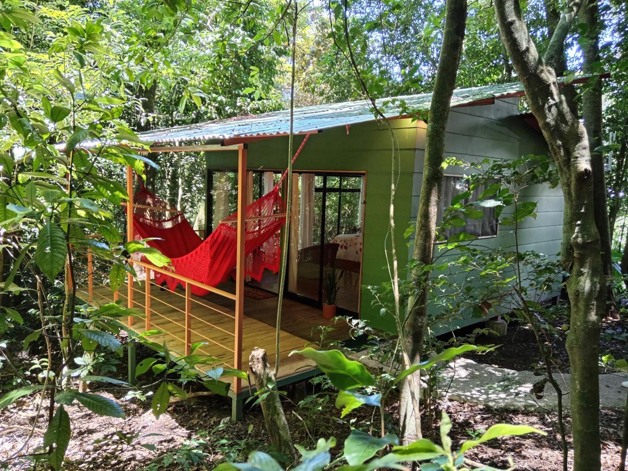 Jungle Living Tree Houses Monteverde Екстер'єр фото