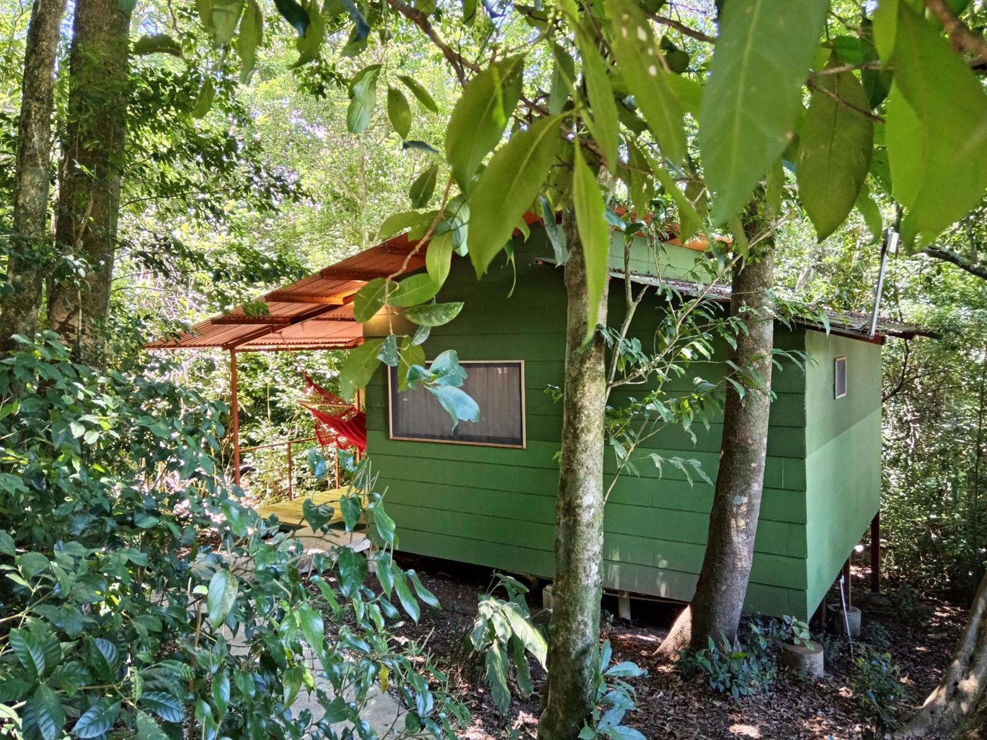 Jungle Living Tree Houses Monteverde Екстер'єр фото