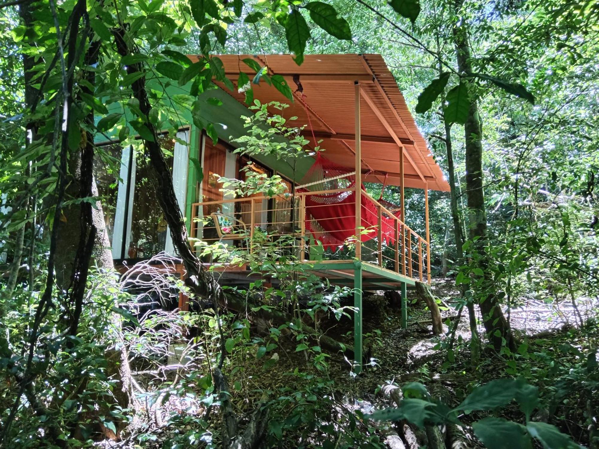 Jungle Living Tree Houses Monteverde Екстер'єр фото