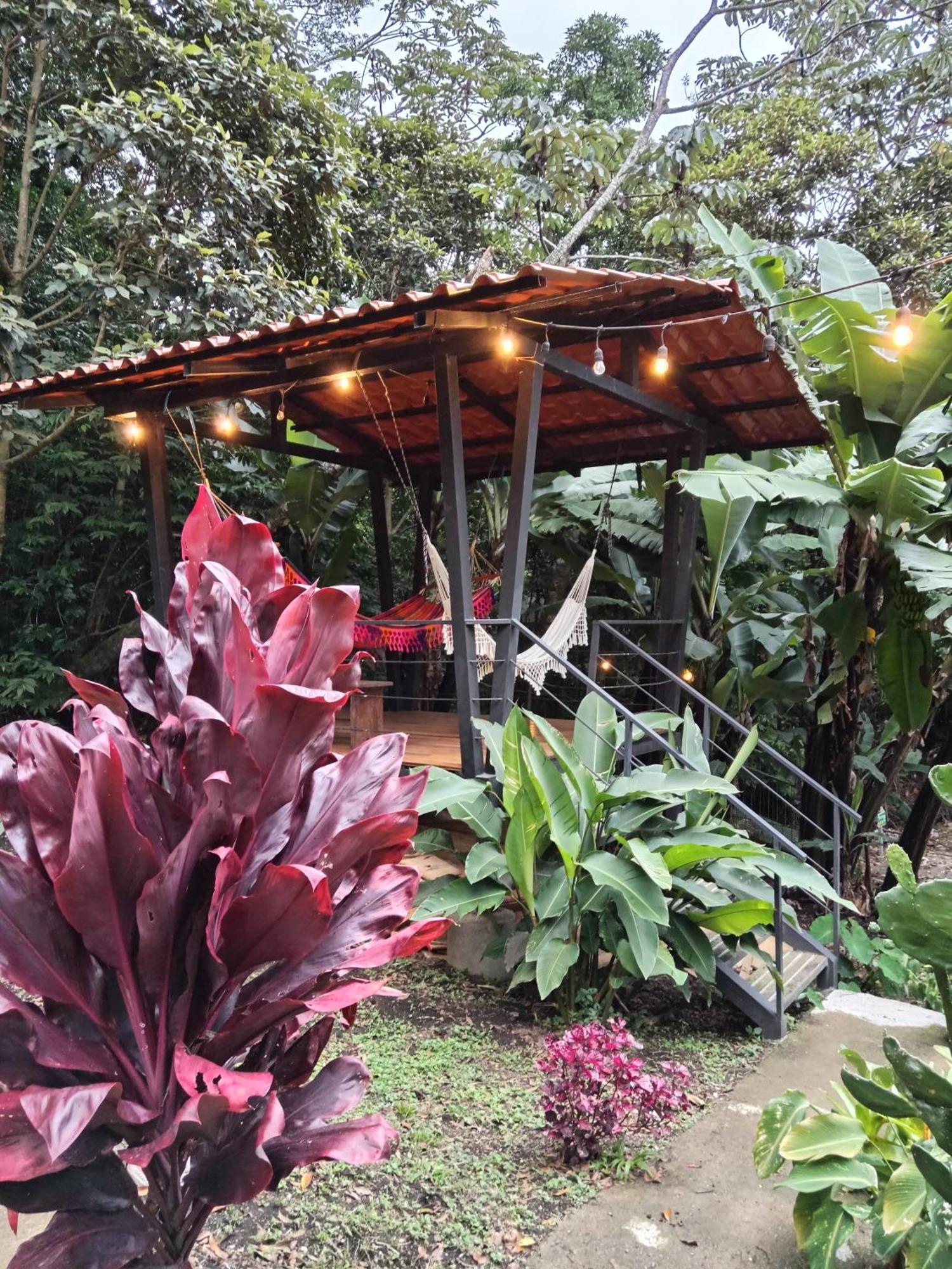 Jungle Living Tree Houses Monteverde Екстер'єр фото