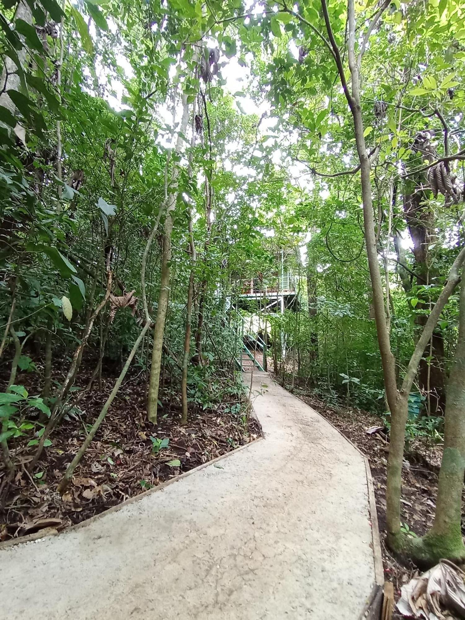 Jungle Living Tree Houses Monteverde Екстер'єр фото