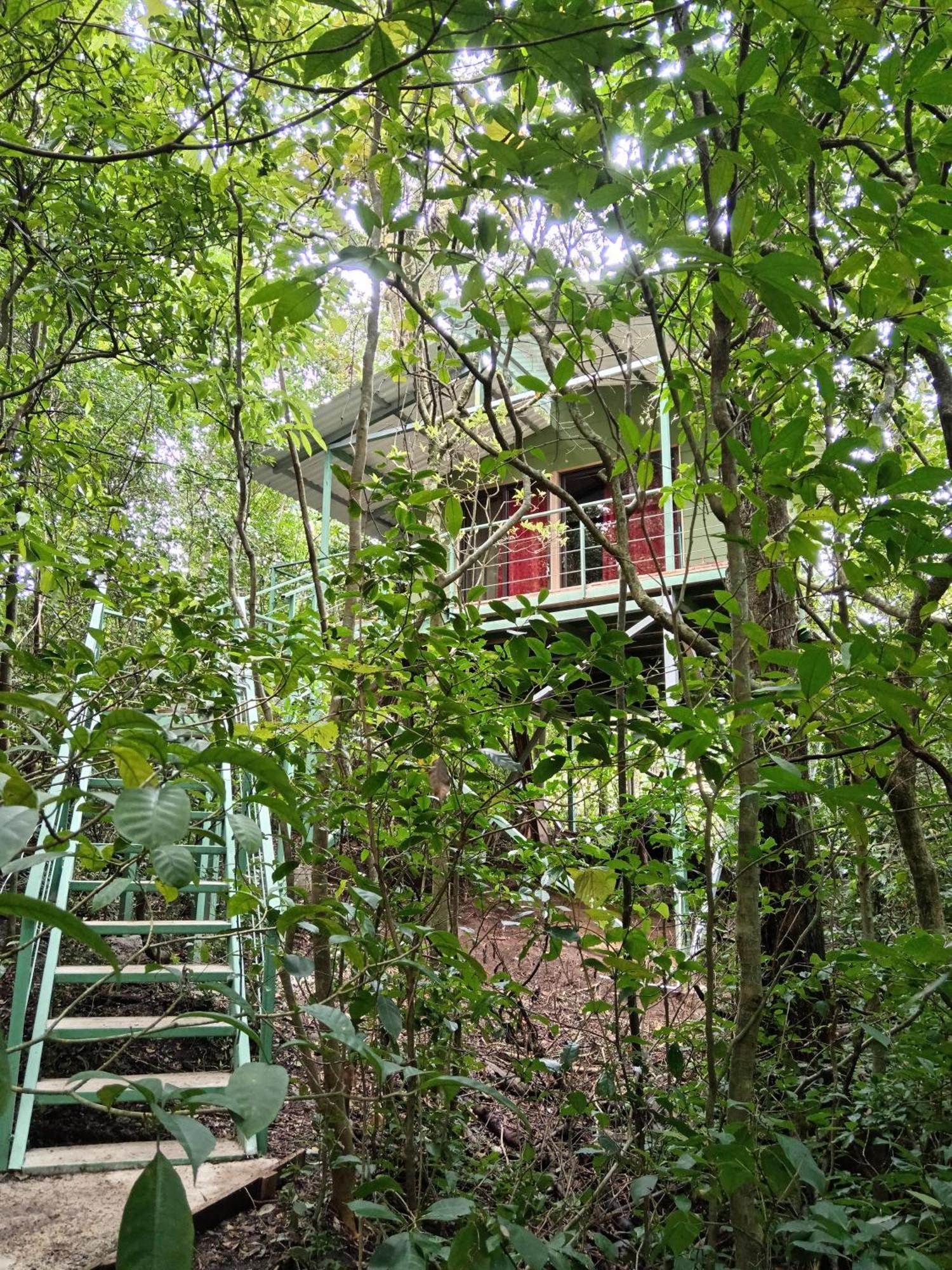 Jungle Living Tree Houses Monteverde Екстер'єр фото