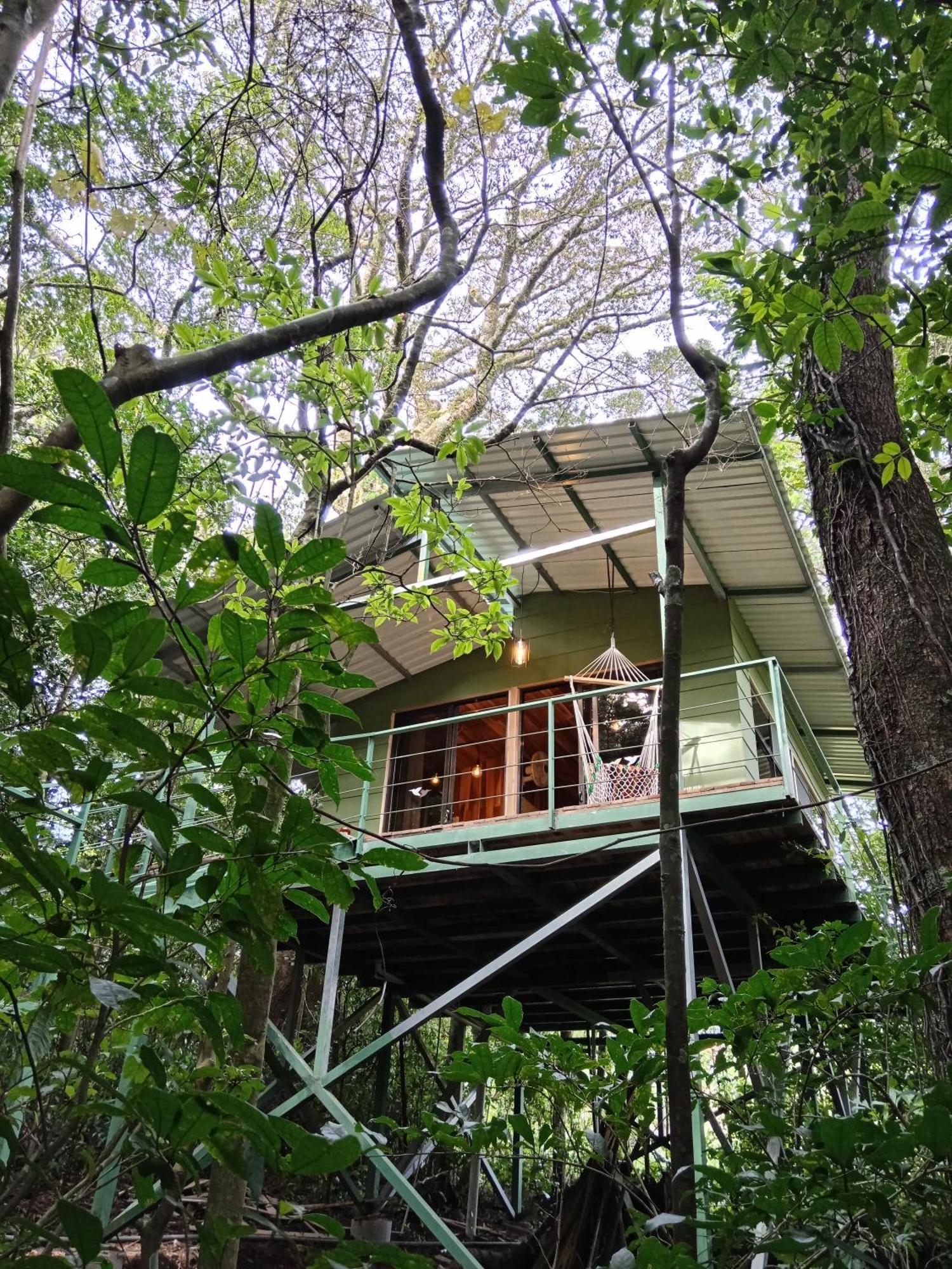 Jungle Living Tree Houses Monteverde Екстер'єр фото