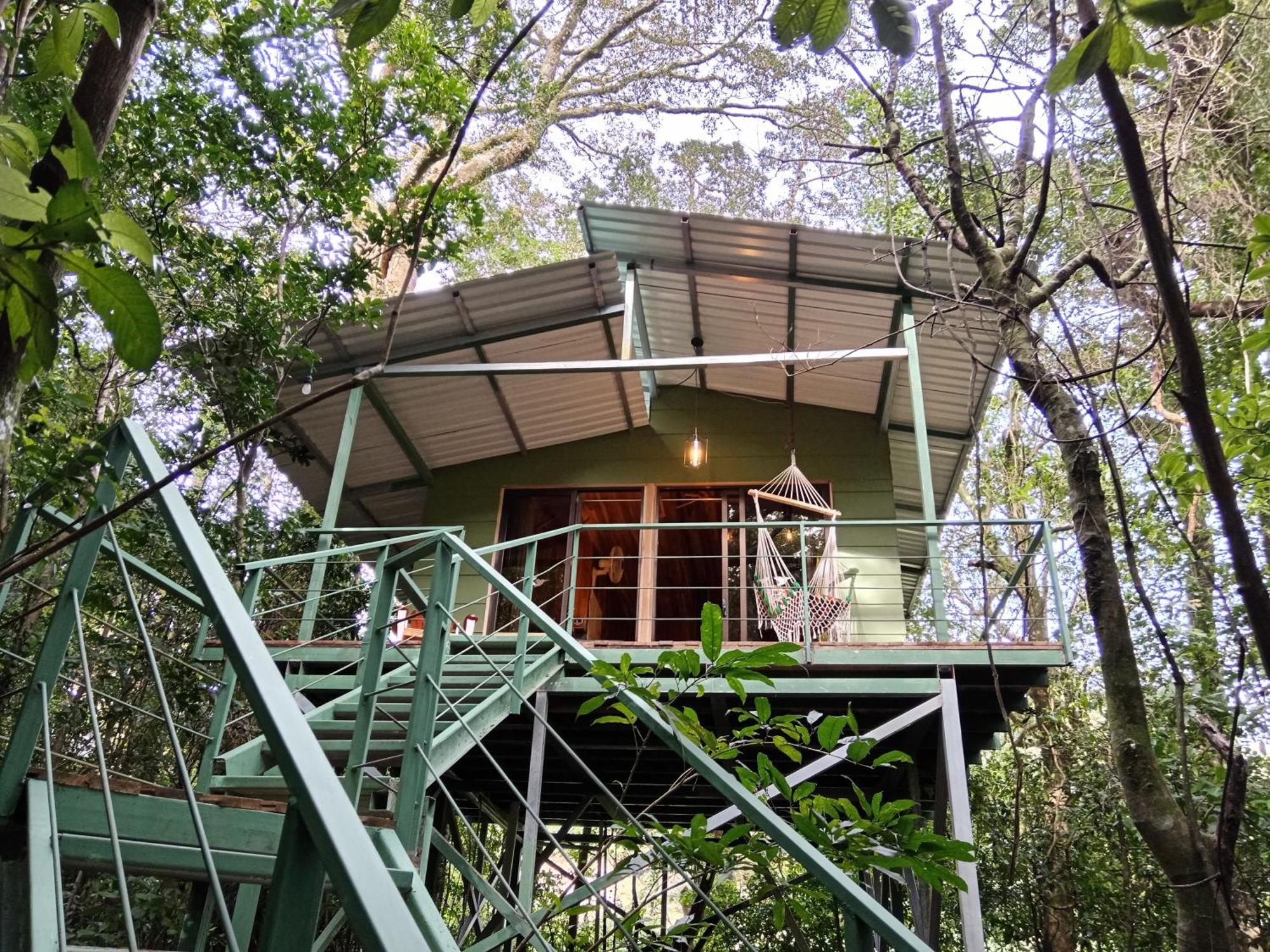 Jungle Living Tree Houses Monteverde Екстер'єр фото