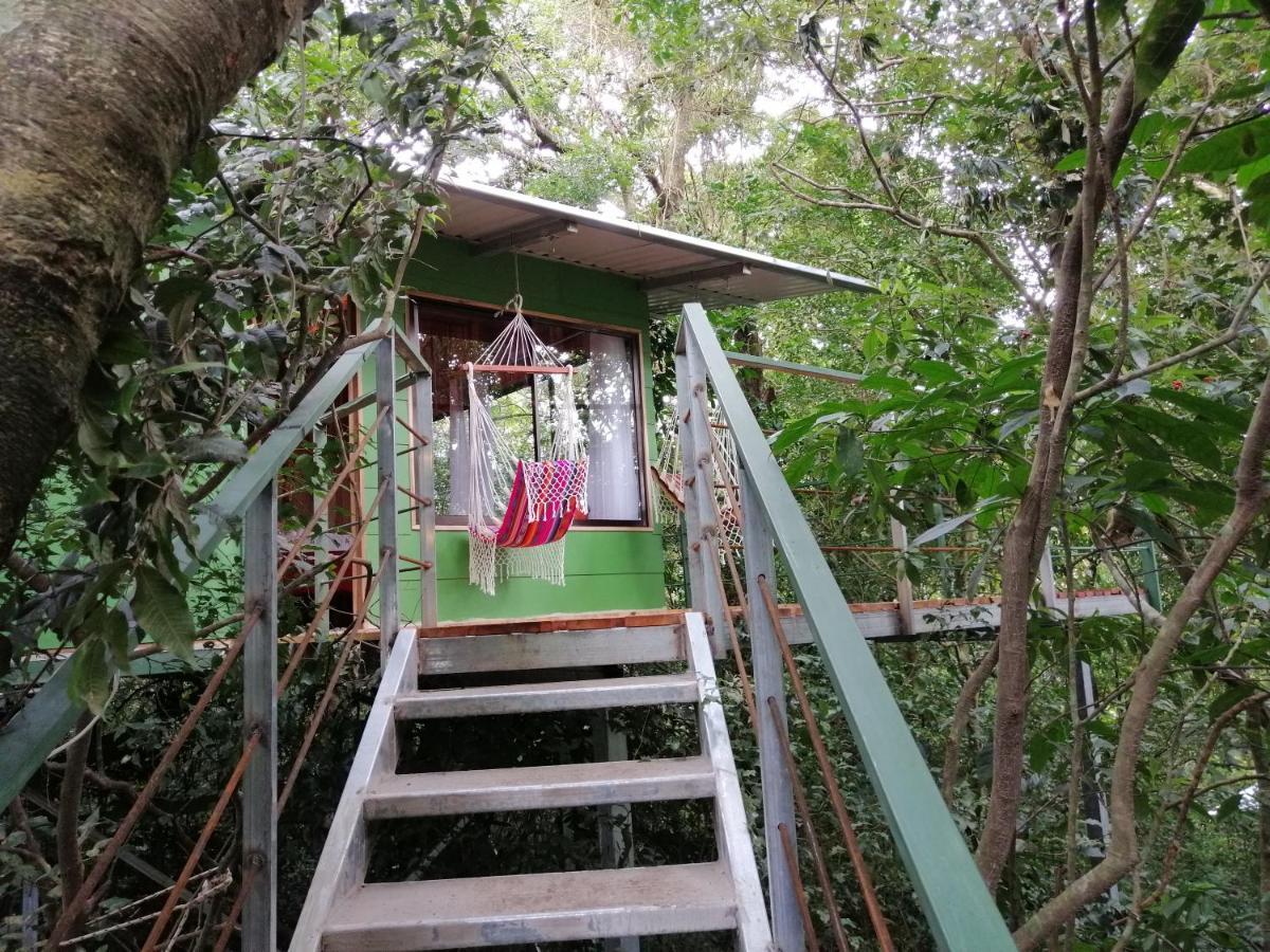 Jungle Living Tree Houses Monteverde Екстер'єр фото